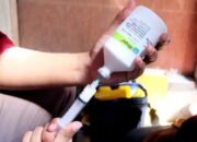Dinas Peternakan Jatim Distribusikan 12.500 Dosis Vaksin PMK untuk Cegah Penularan