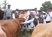 Mencegah Penyakit Mulut Dan Kuku (PMK),Pemkab Banyuwangi Lakukan Vaksinasi Pada Puluhan Ribu Sapi Milik Peternak di Kecamatan Kalipuro