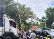 Ganggu Lalu Lintas di Jalan Pantura Bungatan, Polisi dan Warga Angkat Kabel Listrik