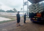 Babinsa Koramil 0823/02 Panji Dampingi Penyerapan Gabah 11 Ton di Desa Panji Lor