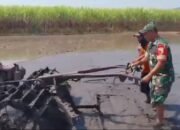 Babinsa Koramil 0823/06 Kendit Turun ke Sawah, Wujud Nyata Kepedulian dalam Mendukung Ketahanan Pangan