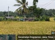 Polda Jatim Dan Polresta Banyuwangi Mellek Dong Terkait Penambangan Yang di Duga Ilegal Dan Terkesan Kebal Hukum