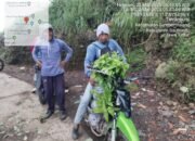 Difinah Melakukan Pungutan Liar Pada Penggarap Lahan Hutan, Pegiat Lingkungan Hidup di Sumbermalang Ancam Laporan Balik ke Polres