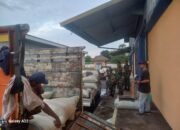 Dukung Ketahanan Pangan, Babinsa Koramil 0823/10 Arjasa, Dampingi Petani Panen Padi
