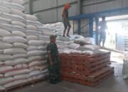 Serda Antok Dampingi Serapan Gabah/Beras Masuk ke Gudang Bulog Klatakan Situbondo
