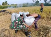 Dari Sawah ke Penggilingan, TNI Selalu Hadir