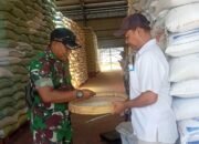 Pastikan Ketahanan Pangan, Babinsa Koramil 0823/10 Arjasa Awasi Distribusi Beras