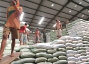 Pelda Taufik, Anggota Koramil 0823-06 Kendit, Monitoring Masuknya Beras di Gudang Bulog Klatakan