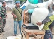 Babinsa Besuki Dampingi Kegiatan Serapan Gabah Petani oleh Perum Bulog di Desa Blimbing
