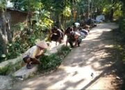 Sinergi TNI dan Warga, Babinsa Sumbermalang Gelar Kerja Bakti Bersihkan Jalan di Dusun Jambaran, Kecamatan Sumber Malang