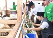 BAZNAS RI Launching Balai Ternak Barokah Farm di Trenggalek, Bupati Dukung Penuh untuk Pemberdayaan Masyarakat Miskin