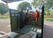 Monitoring Ketahanan Pangan: Babinsa Koramil 0823/06 Kendit Laksanakan Pengawasan Distribusi Beras di Gudang Bulog Klatakan