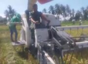 Panen Padi di Arjasa, Babinsa Koramil 0823/10 Arjasa Dampingi Petani Wujudkan Ketahanan Pangan