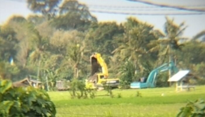 Penambangan di Dusun Pancoran Rogojampi Banyuwangi Untuk Melayani Proyek Strategis Nasional (PSN) Pembangunan Tol Probowangi