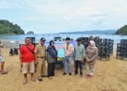 Pemulihan Ekosistem Laut, Bupati Trenggalek dan DKP Jatim Tenggelamkan Rumah Ikan di Pantai Joketro