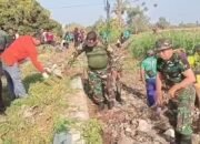 Babinsa Koramil 0823-04 Mangaran Bersama Muspika Gelar Kerja Bakti di Desa Trebungan