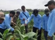 DKPP Tulungagung Optimalkan DBHCHT 2025: Perkuat Kelembagaan Petani dan Tingkatkan Kapasitas SDM Pertanian Tembakau
