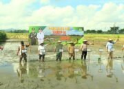 Penguatan Kelembagaan Petani Jadi Kunci Pembangunan Pertanian, Mayoritas Kelompok Tani Trenggalek Berstatus Madya