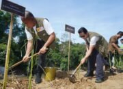 Bupati Trenggalek dan Kementerian Lingkungan Hidup Tanam Rumput Vetiver, Perkuat Tanggul Cegah Longsor