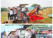 Polri Gelar Panen Raya Jagung Serentak di Cikarang Pusat