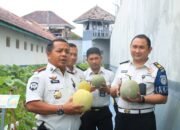 Dukung Program Swasembada Pangan, Lapas Banyuwangi Manfaatkan Lahan Sempit Menjadi Hortikultura Produktif