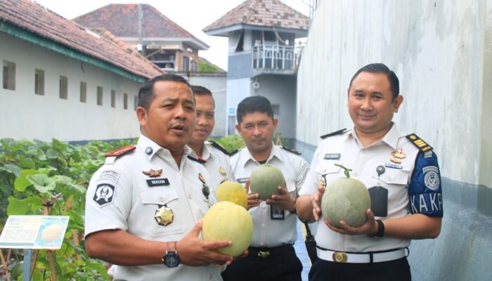 Dukung Program Swasembada Pangan, Lapas Banyuwangi Manfaatkan Lahan Sempit Menjadi Hortikultura Produktif