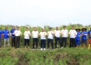 Dari Balik Tembok Lapas, SAE Paswangi Banyuwangi Hasilkan Jagung untuk Negeri