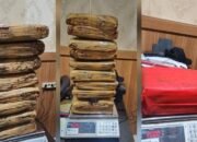 Pengungkapan Peredaran Ganja di Bekasi: Polisi Sita 44 Kilogram, Satu Tersangka Ditangkap