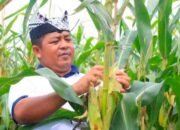 Jejak Sang Pengayom “I Wayan Nurasta Wibawa” Kala Bakti Menjadi Sejarah di Ujung Timur Jawa