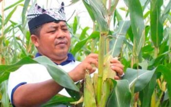 Jejak Sang Pengayom “I Wayan Nurasta Wibawa” Kala Bakti Menjadi Sejarah di Ujung Timur Jawa