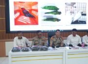 ABK Jadi Tersangka, Polres Probolinggo Kota Gagalkan Penyelundupan Satwa Dilindungi