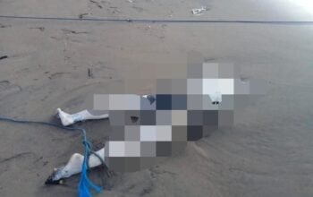 Jenazah Wanita Tanpa Identitas Ditemukan di Pesisir Pantai Sine Tulungagung