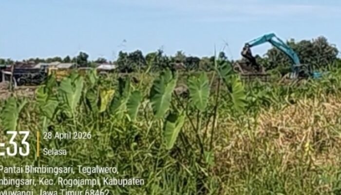 KEBAL Hukum, Penambangan Pasir Di Desa Watukebo Yang Menggunakan Akses Jalan Desa Blimbingsari Berjalan Kondusif 