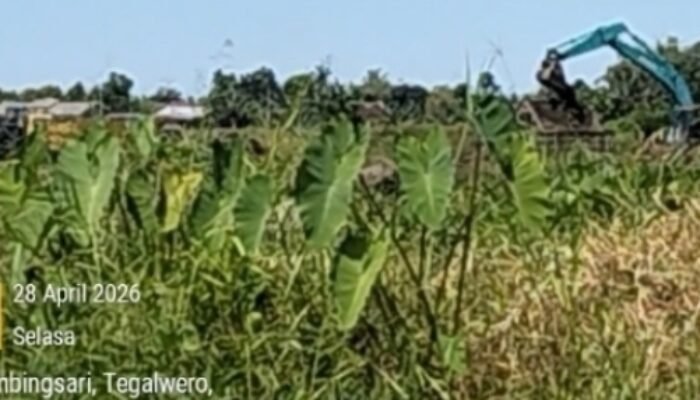 APH Banyuwangi Tak Punya Nyali Untuk Menindak, Tambang Pasir Didusun Patoman Watukebo Blimbingsari Terkesan Kebal Hukum