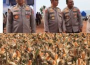 Polri Bersama Petani Jagung Tuban Bersiap Sambut Kehadiran Presiden RI pada Panen Raya
