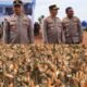 Polri Bersama Petani Jagung Tuban Bersiap Sambut Kehadiran Presiden RI pada Panen Raya