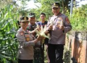 Polres Jembrana Dukung Panen Raya Jagung Serentak, Hasil Panen Disalurkan untuk Program Makan Bergizi Gratis
