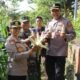 Polres Jembrana Dukung Panen Raya Jagung Serentak, Hasil Panen Disalurkan untuk Program Makan Bergizi Gratis