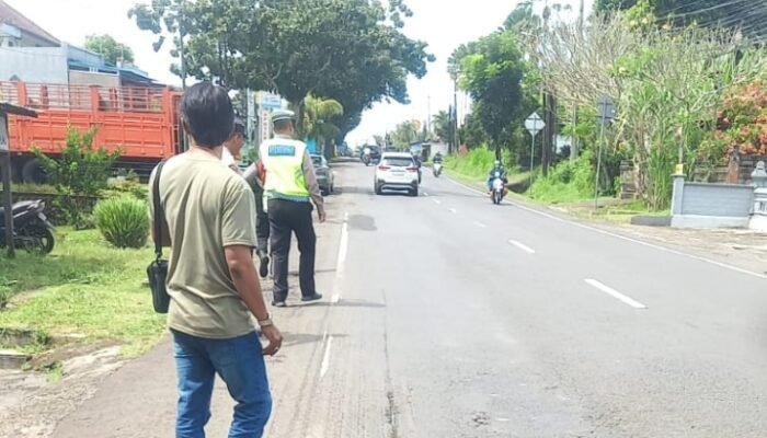 Laka Lantas Tunggal di Desa Banyu Biru Jembrana Bali, Sopir Truk Kehilangan Nyawa