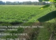 Aktivitas Penambangan di Dusun Susukan Kidul Desa Gladag Kecamatan Rogojampi Banyuwangi Melenggang Bebas, Ketua Formasi: APH Tidur Nyenyak