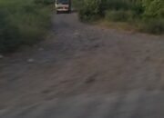 Diduga Tambang Ilegal di Dusun Susukankidul Desa Gladag Kecamatan Rogojampi Kabupaten Banyuwangi Jawa Timur Memunculkan Potret Buram Penegakan Hukum