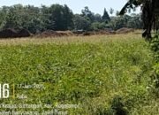 Jangan Manipulasi Rakyat WIUP dan Eksplorasi Tidak Bisa Menambang Dan Menjual Aph Jangan Diam