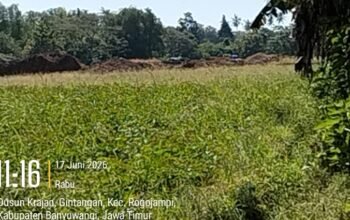 Jangan Manipulasi Rakyat WIUP dan Eksplorasi Tidak Bisa Menambang Dan Menjual Aph Jangan Diam