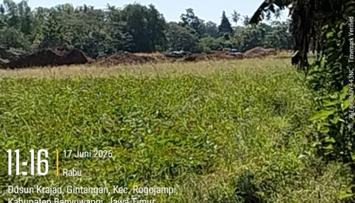 Jangan Manipulasi Rakyat WIUP dan Eksplorasi Tidak Bisa Menambang Dan Menjual Aph Jangan Diam