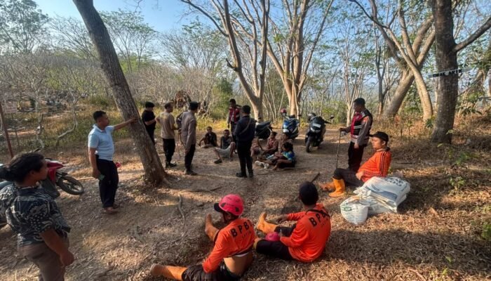 Terjebak Karhutla di Gunung Orak-Arik, Empat Pelajar SMP Berhasil Dievakuasi