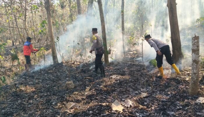 Berbekal Ranting Basah, Polisi Bersama Stakeholder Padamkan Karhutla di Hutan Jatiprahu Trenggalek