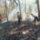 Berbekal Ranting Basah, Polisi Bersama Stakeholder Padamkan Karhutla di Hutan Jatiprahu Trenggalek