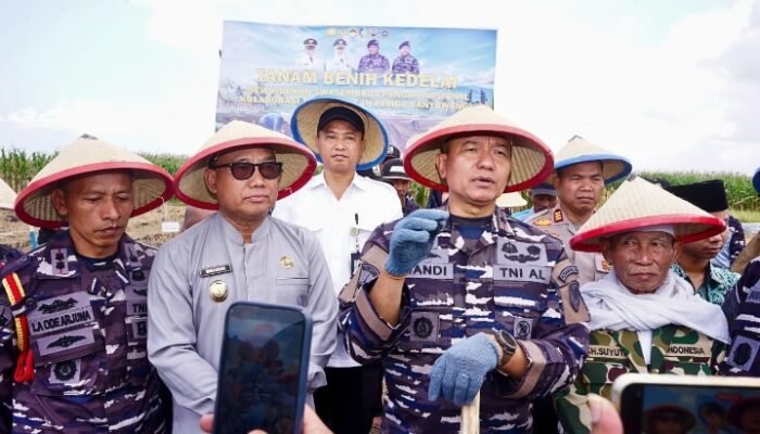TNI AL dan Pemkab Banyuwangi Kelola 1.200 Hektare Lahan untuk Dukung Produksi Kedelai Nasional