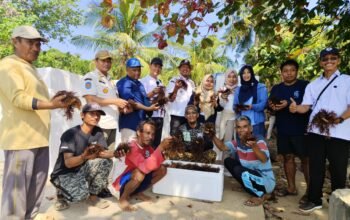 Budidaya Rumput Laut Kemujan Belum Panen, Pembangunan Masih Berjalan