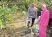 Implementasi Ecology Policing, Polres Trenggalek Tanam Mangrove dan Lepas 100 Tukik
